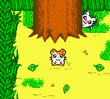 screenshots/Game Boy Color/Hamtaro - Ham-Hams Unite!/Hamtaro - Ham-Hams Unite! (Eng) 005.png